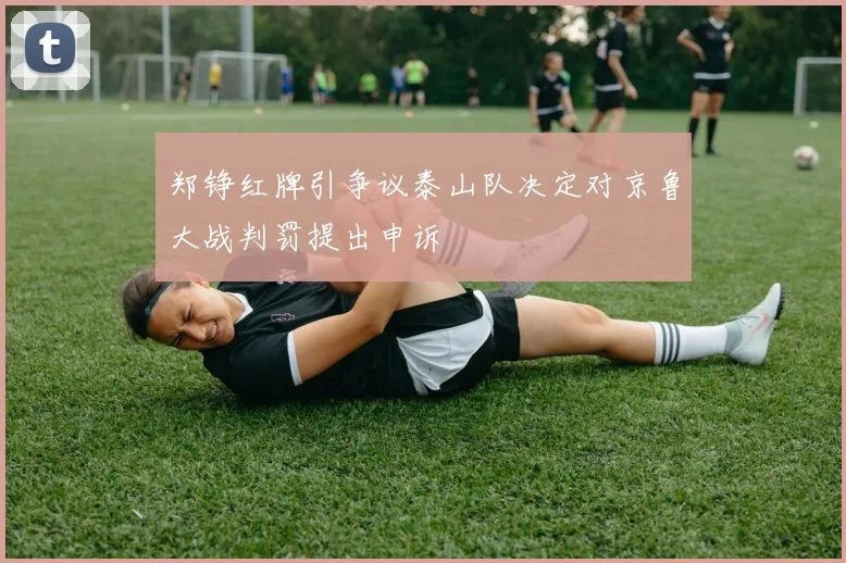 郑铮红牌引争议泰山队决定对京鲁大战判罚提出申诉